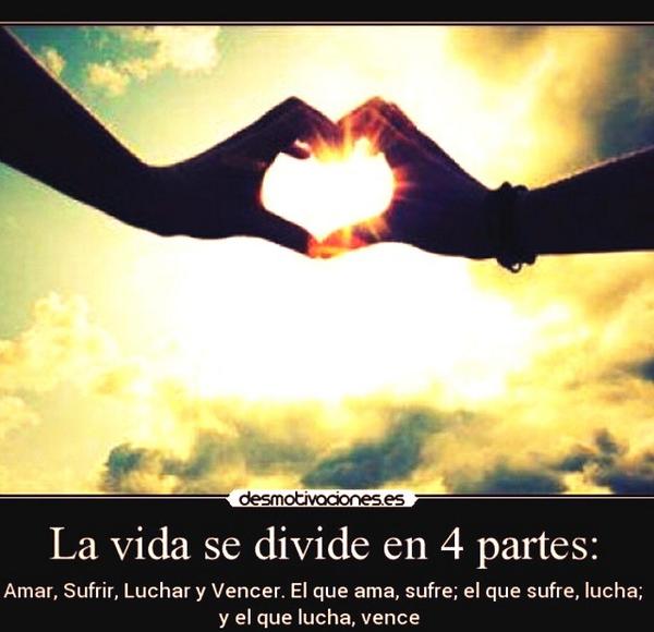 ocasiosamaira's tweet image. 