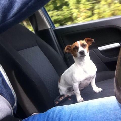 John Flood tweet media