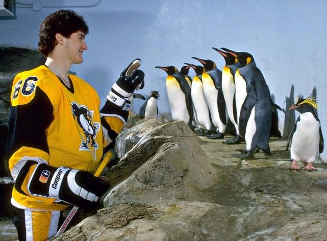 Happy Birthday Mario Lemieux!!!       