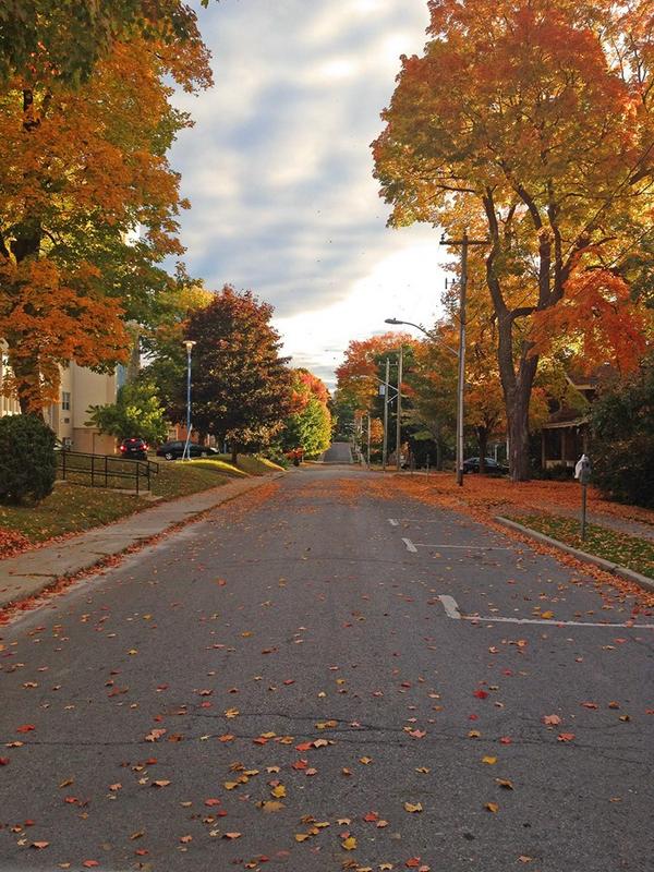 AndyAtSutton's tweet image. A perfect example of why @BrockvilleON is a beautiful place to live...