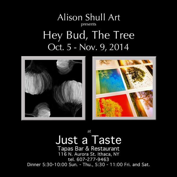 AlisonShull's tweet photo. Appled out? Dine with "Hey Bud, The Tree" any/every night 'till 11/9/14 at Just a Taste 116 N. Aurora #Twithaca http://t.co/vHZwfsJ7dU