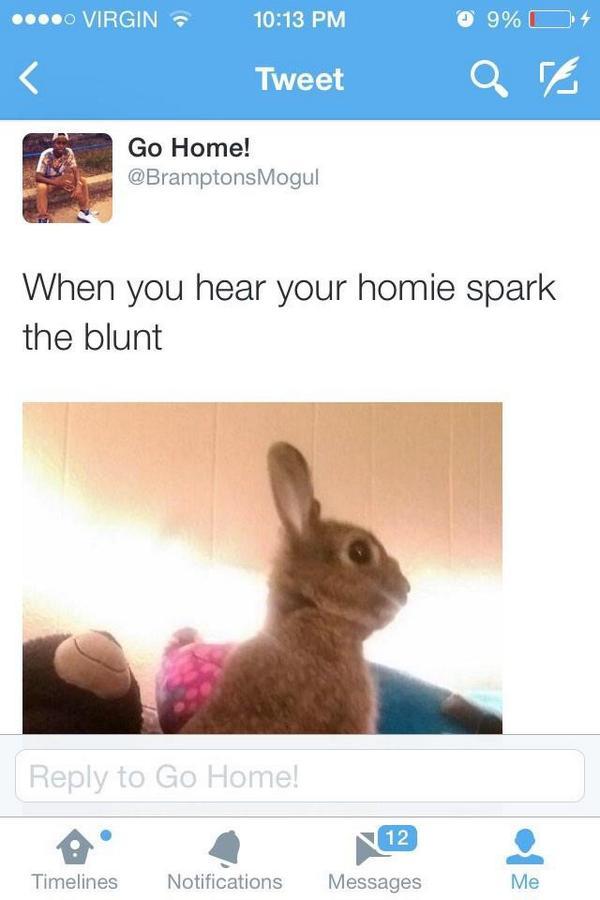 پیوند ثابت به تصویر جاسازی شده