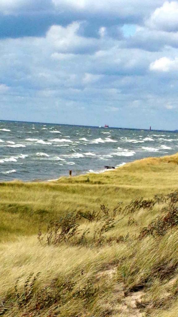 BrodyMeyers's tweet photo. #PierPics #NoFilter #BeautifulDay #PimpsDontCry #PureMichigan http://t.co/kM6X8wz24s