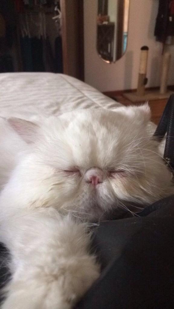 sjpcat's tweet photo. "The good ones screw you, the bad ones screw you, and the rest don't know how to screw you" - Samantha http://t.co/Rz2jKfdVZa