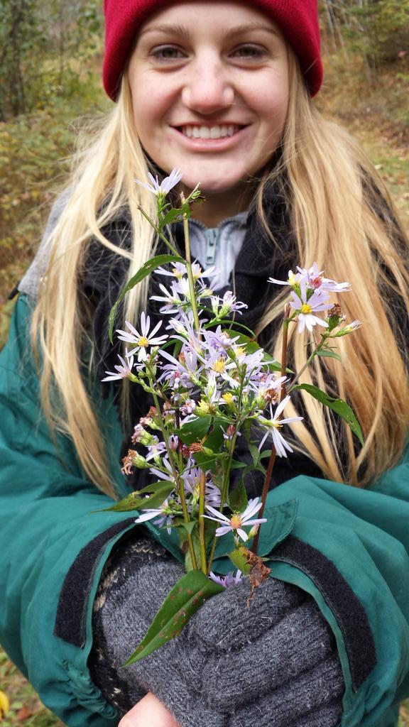 rhock189's tweet photo. Collected an assortment of pretty flowers to make a bouquet for nat #nvapes #treehaven http://t.co/OugSRDaNuR