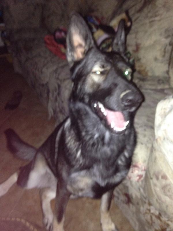 vanessaa_ochoa's tweet image. Happy B-day to my Sam 😢 #thebig1