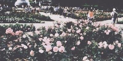 kittykatexo's tweet photo. http://t.co/1NYDrFBiCD