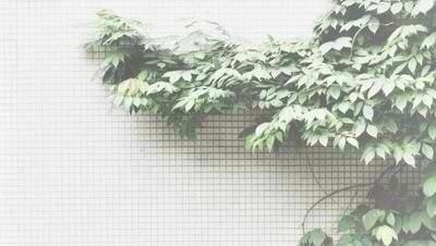 kittykatexo's tweet photo. http://t.co/zt5MxCvt5X
