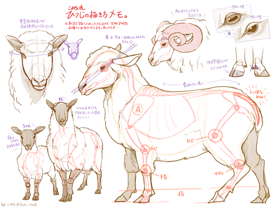 イタグレの骨格を研究し出来上がった絵 まなざし Design By Komiti このデザインができるまでの話 Arata House