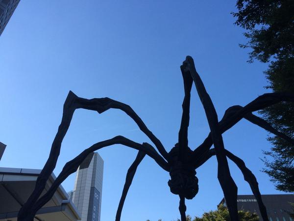 Der Sturm ist vorbei. Jetzt Angriff der Killerspinnen. #DontBelieveTheHype #japan #tag6