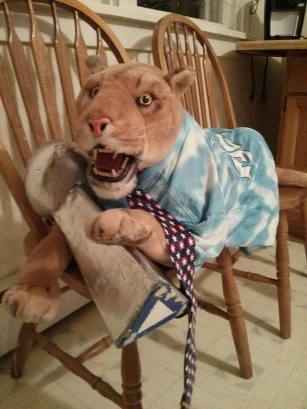 LeonLuke_'s tweet image. Have you seen this lion today? Apparently Ford Field security threw her away, but I have hard time believing it.
