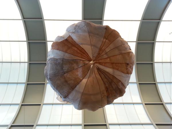 HatchLabPDX's tweet image. Come to #hatchlab on 10/8 from 4-7pm to find out what this is. #dwpdx #designresponsibly