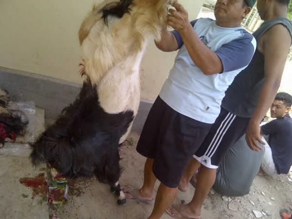 Semoga berkah..aamiin..