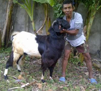 Alhamdulilah,Qurban dari teman2 #ABP