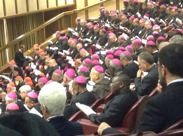 Catholic News Service tweet media