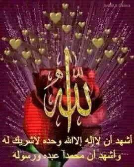 IcHilmi's tweet photo. @rinaelfira @AliyahSofyan @errlando @hashmi636 @a22_h @hafiz5338 @SolimanKhattab2 @1_kingarthur http://t.co/Xm8c1GwUVU