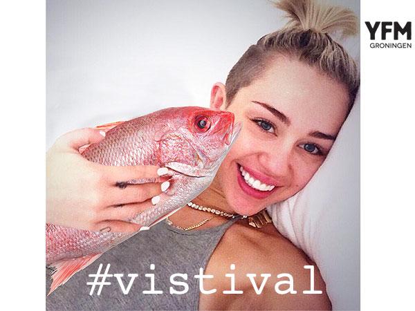 SFYN_Gr's tweet photo. Maak een selfie met een Nederlandse vis, tweet en tag ‘em #Vistival. Mooiste foto krijg 2 gratis tickets voor ztrdag! http://t.co/No5QcC45Ig