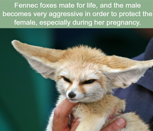 VdivineTech's tweet image. Whattt???