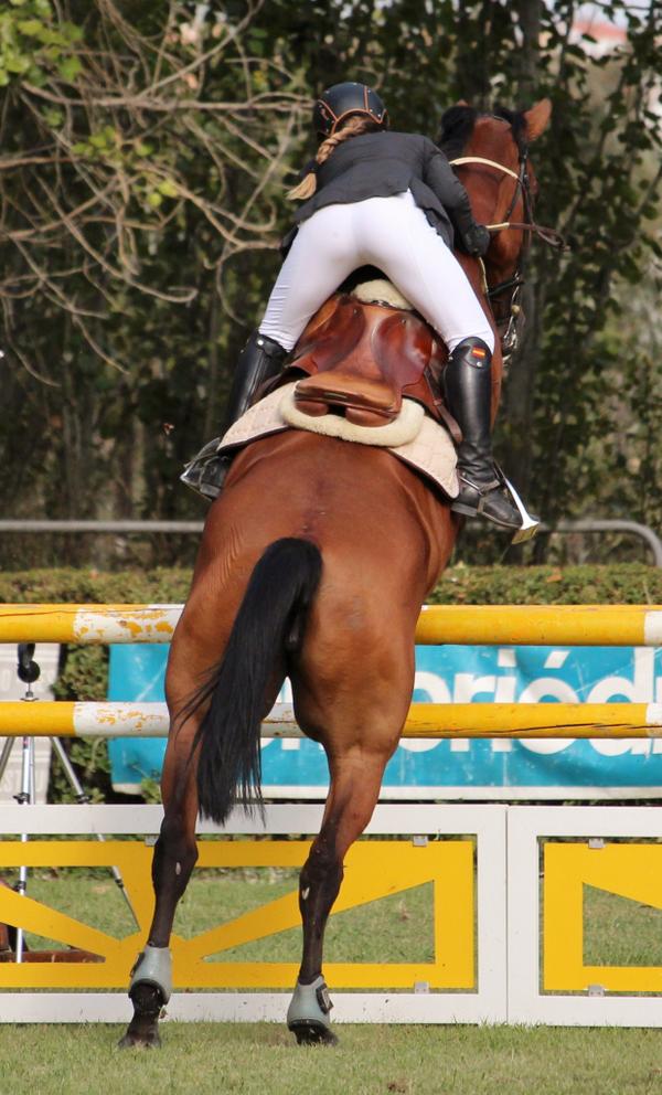 HierroyAlbero's tweet photo. #sin_caballos_no_existirían_caballeros http://t.co/lm16JqZn7n