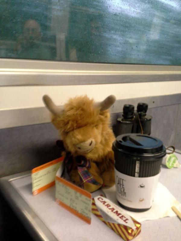 I'm on my way - just reached Crianlarich so hope I'm in the right carriage! #Knoydart here l come:)