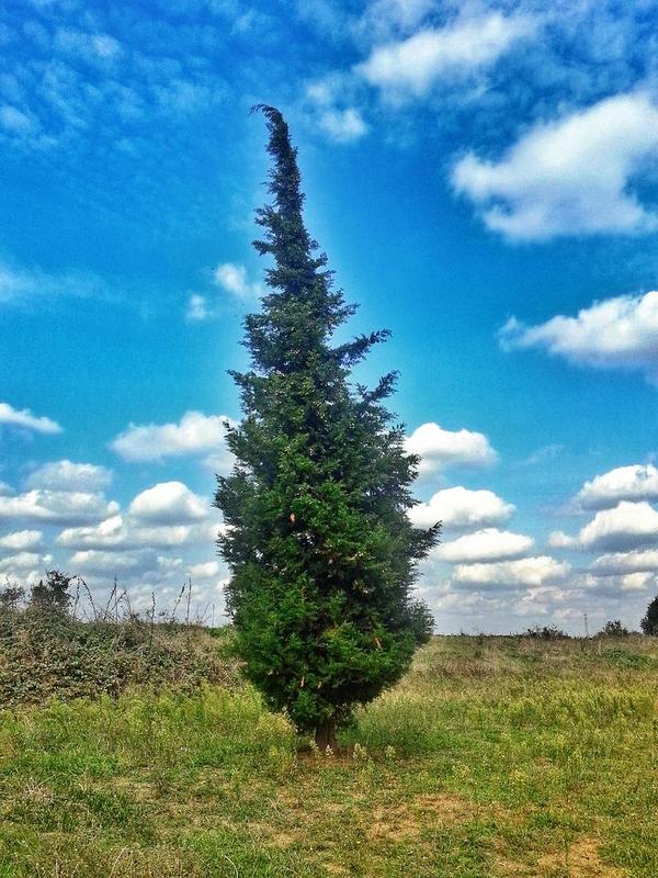 dodovicka's tweet photo. Doğal yerlerde bambaşka bi insan oluyorum #NeCektimBe http://t.co/0PrRtZu7hJ