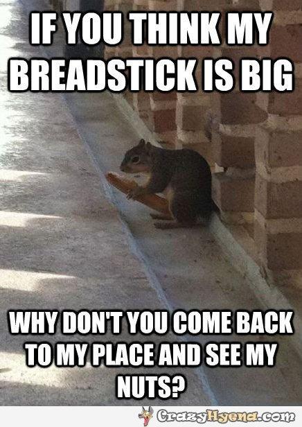 Sleazy Squirrel on Twitter: Sleazy Squirrel on Twitter: