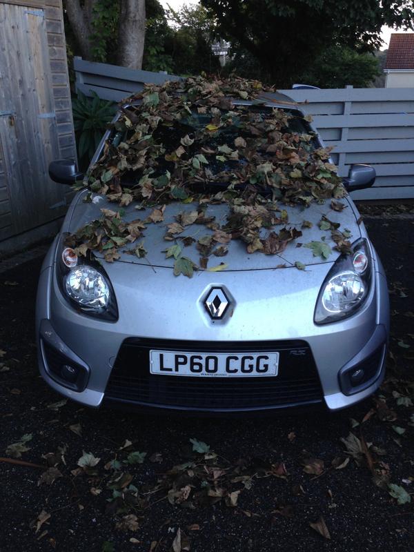 Jonathan Bassett tweet media