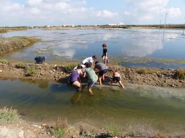 SusannaIzq's tweet photo. Voluntaris grans i petits netejant aiguamolls dissabte a #MonNaturaDelta @catfundacio #Landlifeweek #voluntariosFB http://t.co/KRN9LXr2Hs