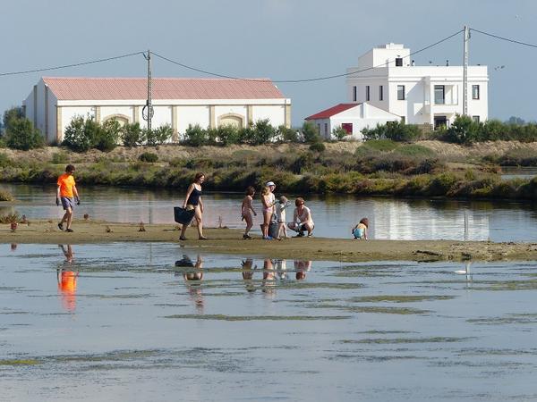 SusannaIzq's tweet photo. Voluntaris grans i petits netejant aiguamolls dissabte a #MonNaturaDelta @catfundacio #Landlifeweek #voluntariosFB http://t.co/KRN9LXr2Hs
