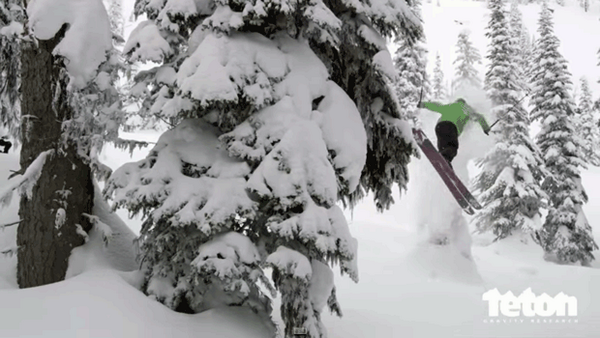 TetonGravity's tweet photo. Trees: 10. TGR Athletes: 0. Start your Monday morning with a laugh: http://t.co/sZzC7Ipoqn http://t.co/YHkdOYFcIm