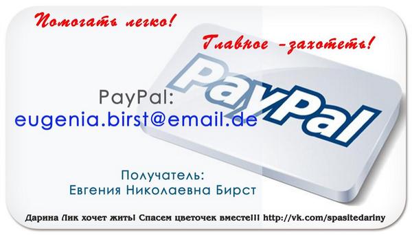 katya_1805's tweet photo. http://t.co/xH3daiw0a1