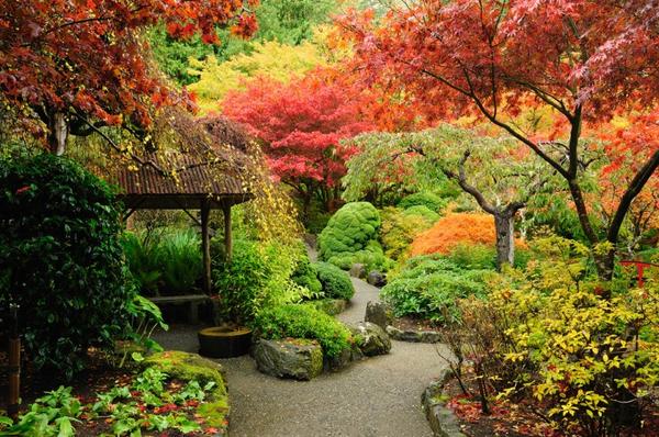 DreamPlanGoNow's tweet image. Fall Is Better at These 7 World Gardens - bit.ly/1pNn12F