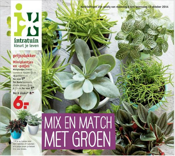 Deze week is er weer een nieuwe folder!! Bekijk de folder intratuin.nl/folder-1/