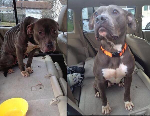 TikTokTendencia's tweet image. Esta es la diferencia que con 30 días de amor puedes hacer.