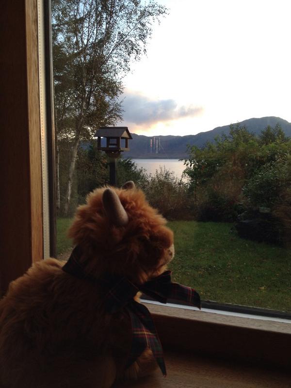 Wow! What an amazing place! @VisitKnoydart @KnoydartBandB. Wish I was here longer:(