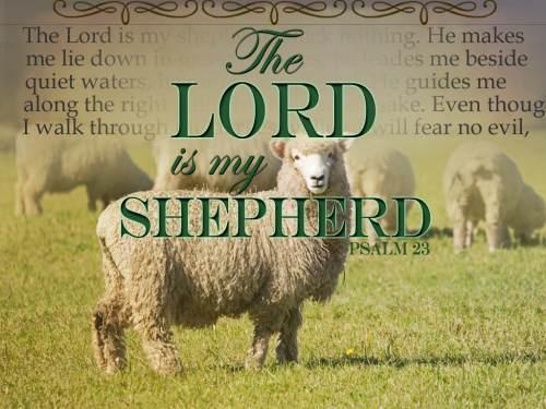 New Complimentary Image of the week available bit.ly/1s4xtss