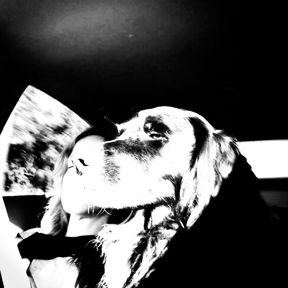 Embedded image permalink