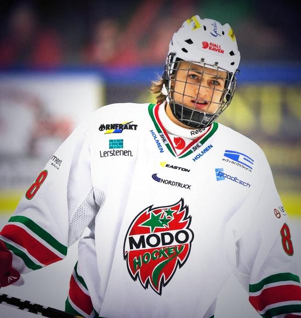 хк модо. вильям нюландер. модо хоккеисты. хоккей хедберг. хоккей модо.