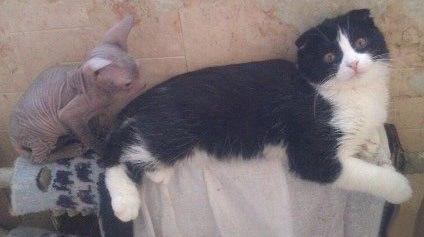 Igorusha_'s tweet photo. Оно у меня за спиной, да? http://t.co/VkFEfPDocH