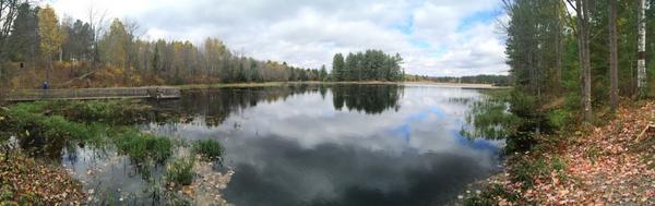 MichaelRomano02's tweet photo. I love this place #treehaven http://t.co/Ly48QB4YQm