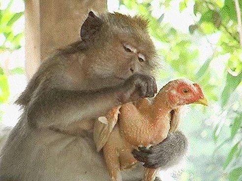 87Liudmila's tweet photo. http://t.co/XaL9agQPnR http://t.co/HUqHr0ycJ2