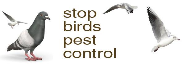PestHelpLtdUK's tweet photo. Bird Pest Control Scarers, Deterrents and Repellers https://t.co/8gbjO6TRqo https://t.co/ckRri4p58U #SGAV