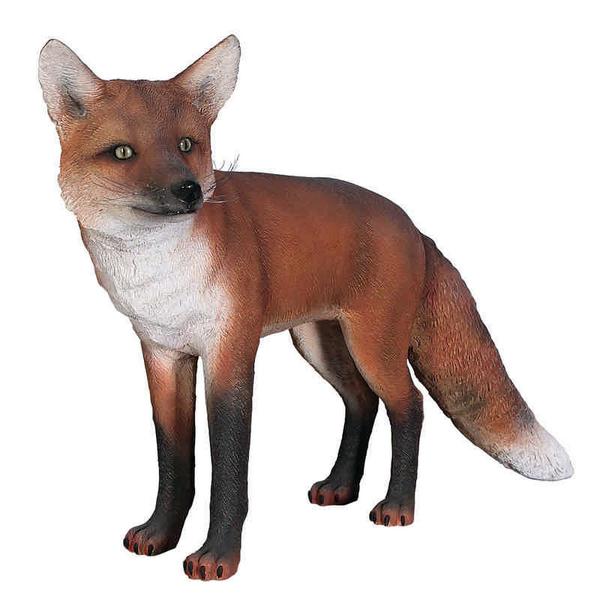 GardenShackShop's tweet image. Mondays Item of the Day!  Fabulous life-like Red Fox Garden Statue! Free Shipping!

the-garden-shack.myshopify.com/products/europ…