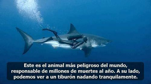 GESTIONSAS's tweet image. 