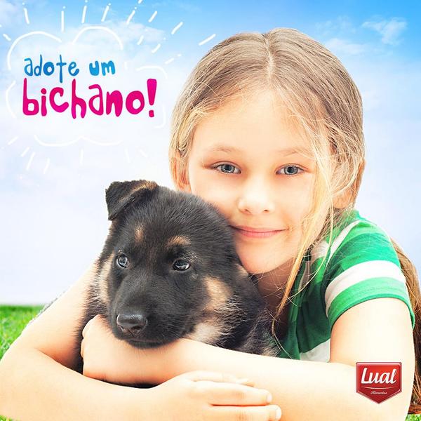 Lual_Alimentos's tweet photo. Você sabia que ter um animal de estimação reduz o estresse?Adote um bichinho. http://t.co/BWlYREve6A http://t.co/hVQQd3HuXP