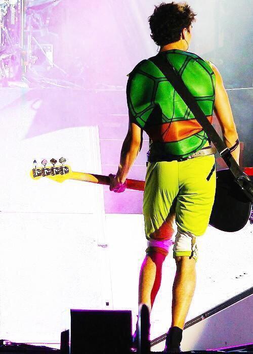 Calum5SOS's tweet photo. I was a turtle last night. Ignore my butt http://t.co/80LXR7drM1