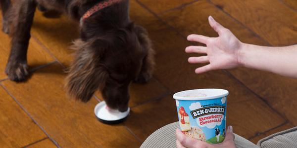 benandjerrys's tweet photo. 5 second rule, 2 second dog. #PintProblems http://t.co/QPSOETJVTx http://t.co/147NUVhwcL