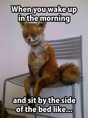 FunnyMomTweet's tweet photo. so true http://t.co/K2ywhU257I