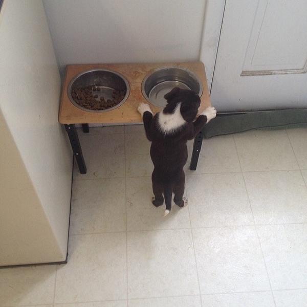 xxJustBethxx's tweet photo. @Daryl_Dixon7 baaeeeeeeee look at how little she used to be! 😫😫 http://t.co/kIAr0x7zl5