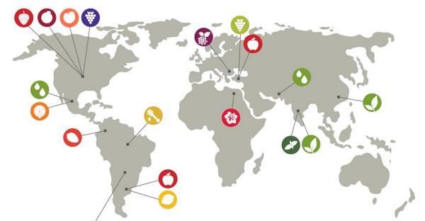 HonestOrganic's tweet image. Where do your #organic, Honest ingredients come from?  Take a gander: